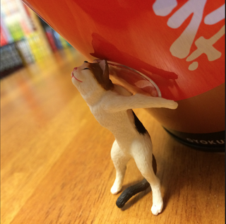 スクリーンショット 2014-01-07 7.19.15.png