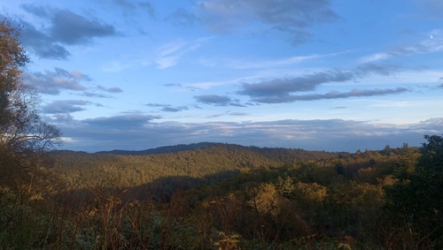 IMG_2020.jpeg