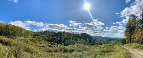 IMG_2094.jpeg
