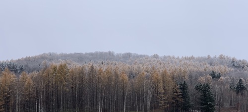 IMG_2307.jpeg
