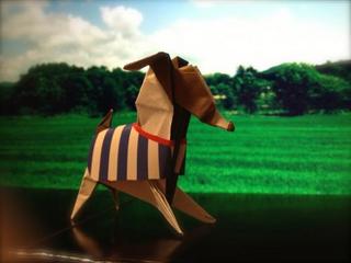 IMG_7633_convert_20130812224833.jpg
